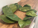 Magnolia Wreath/Candle Ring 14”