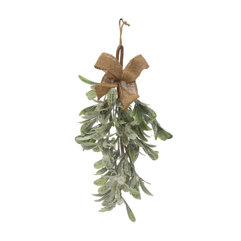 Hanging Mistletoe