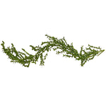 Boxwood Garland 60”