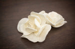 Magnolia Sola Wood 10 pk