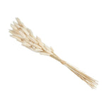 Lagrus Bundle 26” (Bunny Tail)